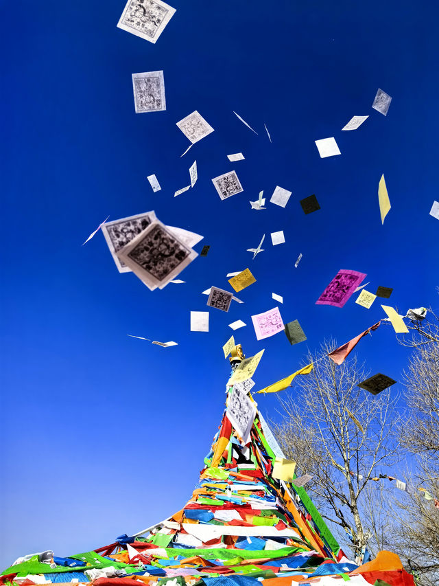 冬遊西北—青甘環線冬季六日遊察爾汗鹽湖