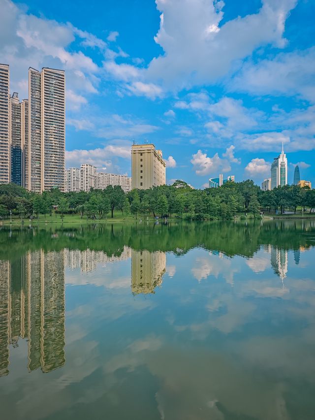去一萬次都不夠！深圳我最愛的治癒系公園！