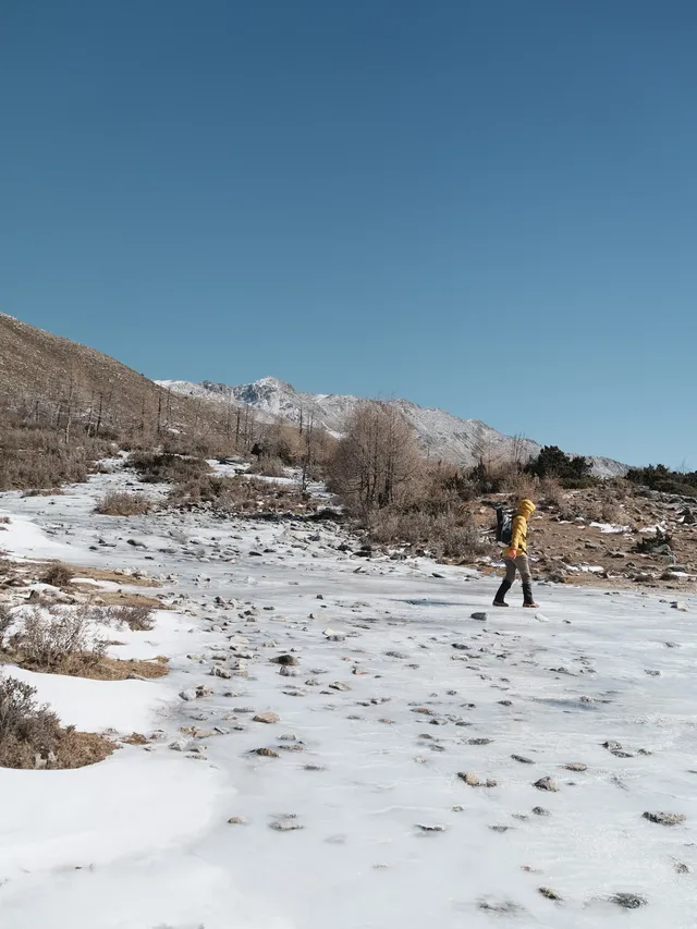 川西雪山整活，吃了牦牛肉，單穿一件是否抗凍