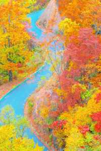 央視力推的秋日頂流成都周邊「中國紅葉第一山」