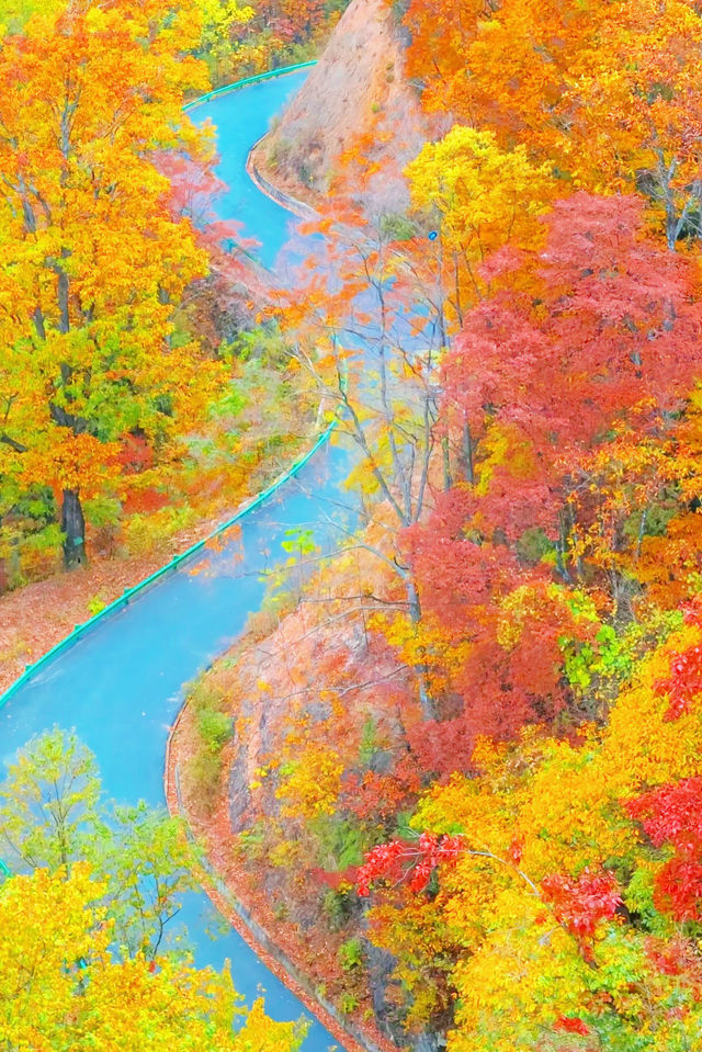 央視力推的秋日頂流成都周邊「中國紅葉第一山」 央視力推的秋日頂流成都周邊「中國紅葉第一山」