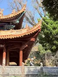 普陀山祈福|連續去3年總結出1條精華攻略