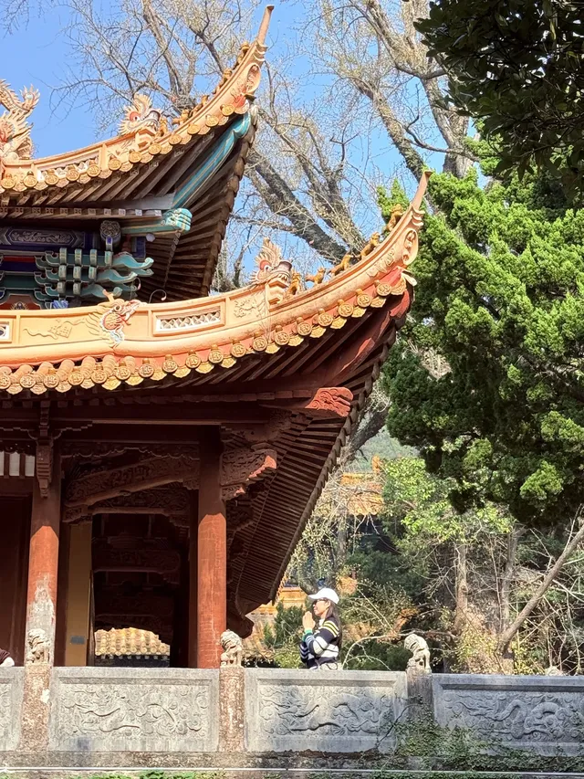 普陀山祈福|連續去3年總結出1條精華攻略