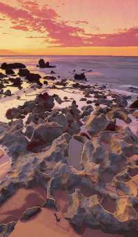 遇見800歲巨樹馬達加斯加猴麵包樹大道攻略《像素版》