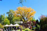 藏在城芯湟水畔，人文與自然的共生秘境