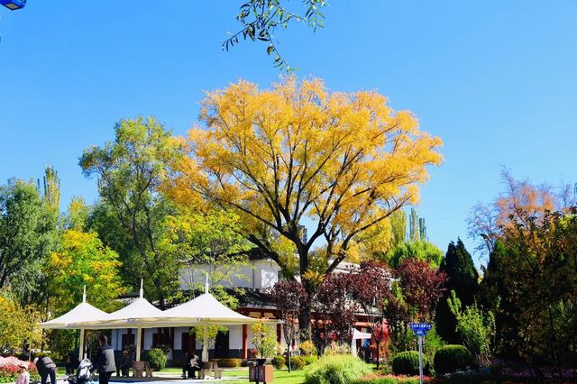 藏在城芯湟水畔，人文與自然的共生秘境