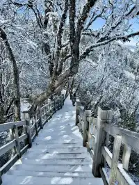 西嶺雪山下雪實況！1日遊成都往返才花68
