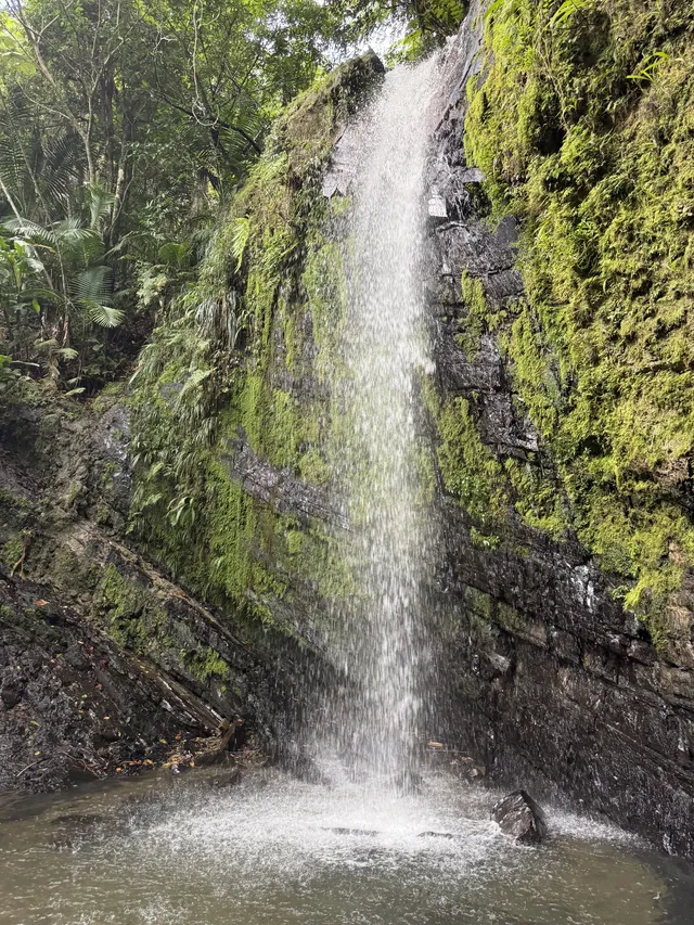 波多黎各遊玩，建議及避坑