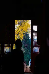 棲霞山 | 拍點不一樣的