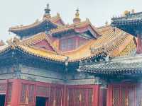 暑假,與兒子的北京之行(4)