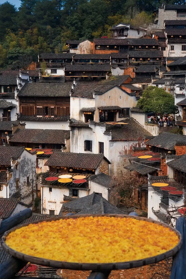 國家地理推薦｜婺源篁嶺曬秋