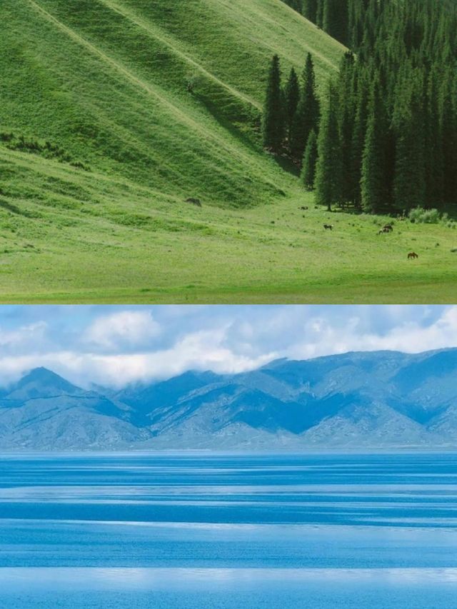 絲路月光箋:綠洲與星河的十二時辰 絲路月光箋:綠洲與星河的十二時辰