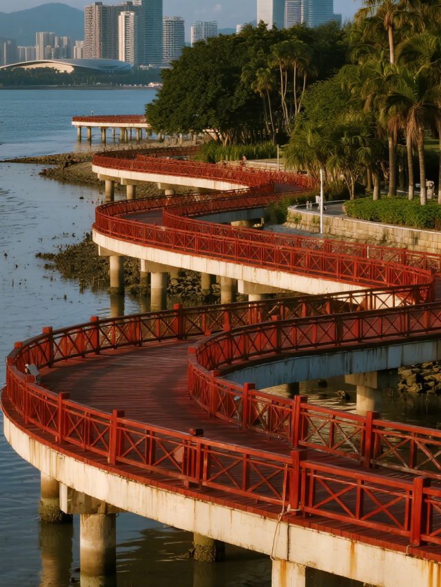 深圳冬日親子遛娃 福田紅樹林三大景區全攻略！