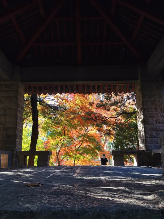 12.3魯迅公園秋日進度100％（附機位）