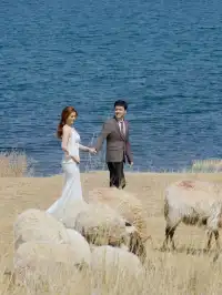 青海湖替我接住了所有沒說出口的我願意