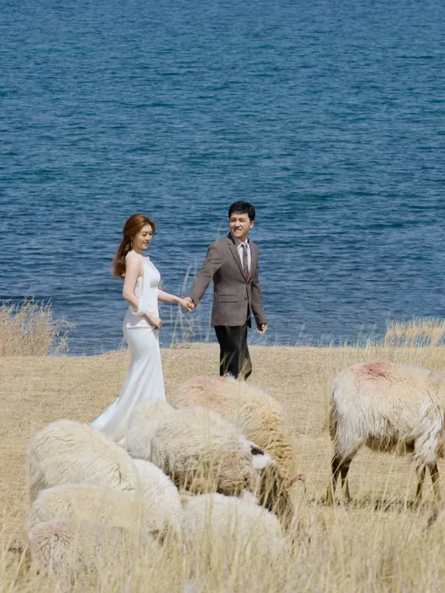 青海湖替我接住了所有沒說出口的我願意