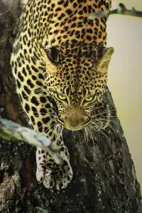 廈門看展|著迷於光落在生活的詩意裡