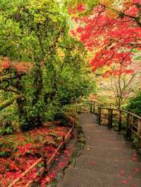 17天冬遊加拿大 錯過等一年