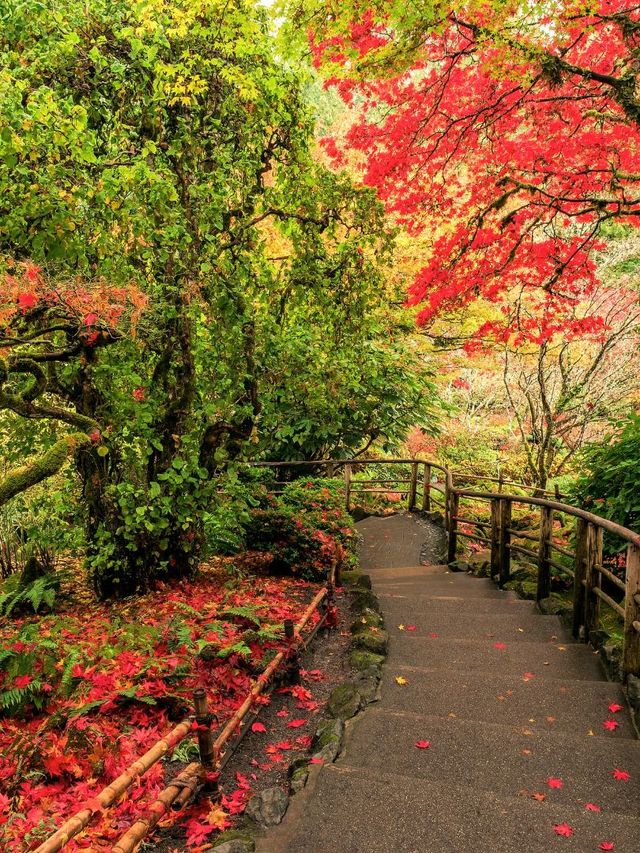 17天冬遊加拿大 錯過等一年 17天冬遊加拿大 錯過等一年