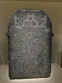 貓咪木乃伊你有看過嗎?