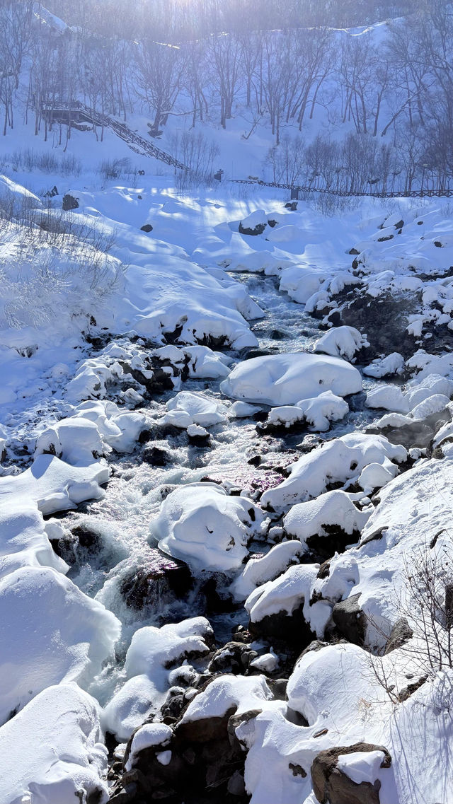 冬日長白山|冰雪神話實錄!天池如鏡,霧淞漫野 冬日長白山|冰雪神話實錄!天池如鏡,霧淞漫野