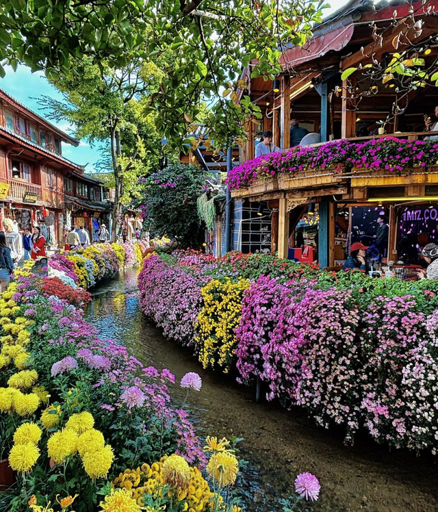 雲南,一生總要去一次!超全旅行攻略請查收! 雲南,一生總要去一次!超全旅行攻略請查收!