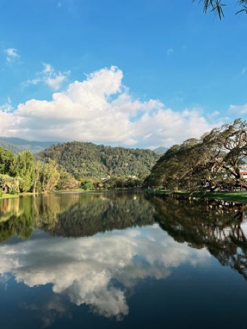 Jiu Jiu · Malaysia｜Taiping Lake Garden Travel Guide