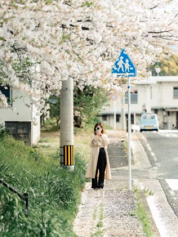 February Limited Tokyo Flower Viewing Map, Romance Level Off the Charts!