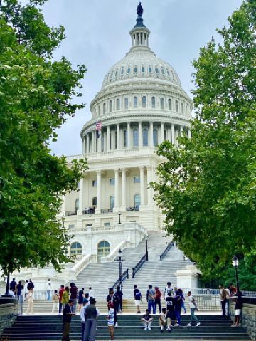 나만의 궁극적인 워싱턴 DC 플레이북: A Wo