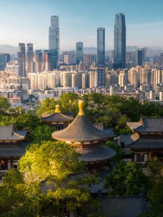 이 사진을 위해 일부러 남녕까지 날아갔어요……