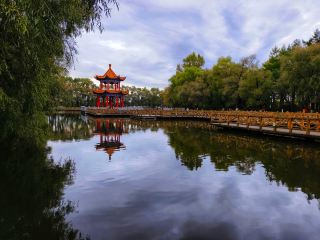 週末どこに行く？綏化の市民公園は本当にすごい！