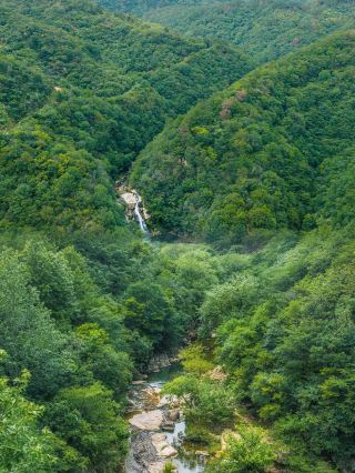 Waterfalls + Stream Tracing + Forest | 2 Hours from Wuhan｜Hidden Stream Tracing Waterfalls in Dabieshan, The Ultimate Water Fun  
2 hours drive from Wuhan to Dabieshan, a private
