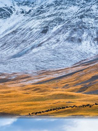 The secret paradise of Bayinbuluke Tianchi in Xinjiang is breathtakingØ