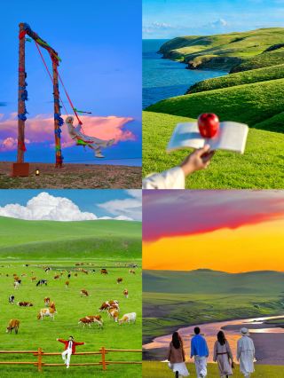 18 live photos show you how incredible summer in Hulunbuir really is!
