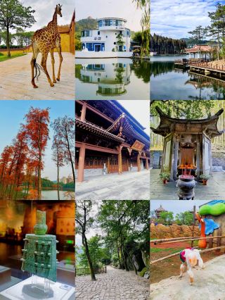 Complete Guide to Yichun's Hidden Gems! Animal World is so much fun