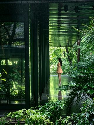 Locals’ secret‖deep in the dense forest of Purple Mountain! This green glass courtyard is rarely found!