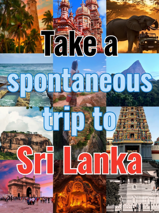 Sri Lanka, it really stays with you... From the moment I landed in Colombo, it felt like stepping into an old movie filled with sea breeze. The air is