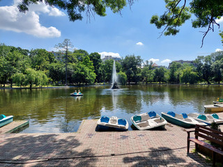 Peaceful Urban Oasis