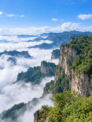 王莽嶺景區近中遠景手機取景攻略