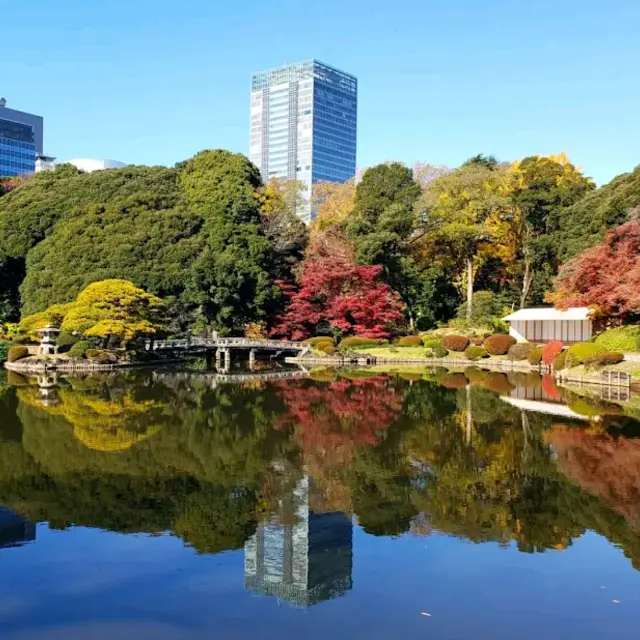 Shinjuku Gyoen National Garden

