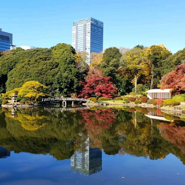 Shinjuku Gyoen National Garden

