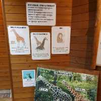 まるでサバンナ？天王寺動物園