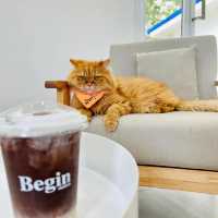  "Begin Station coffee eatery" ☕️