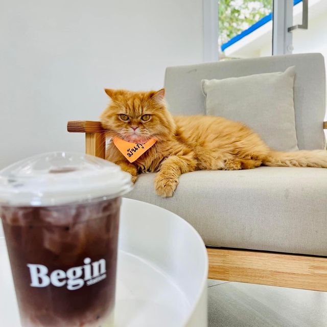  "Begin Station coffee eatery" ☕️