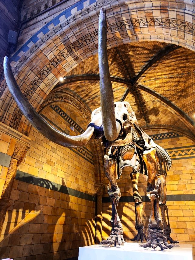 London's Museum of Natural History 