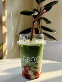 หนีแมวไป GROW CAFE TRAT  🤎