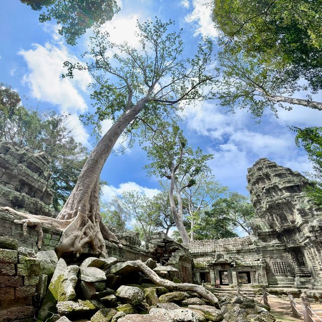 Why should we visit Ta Prohm?