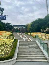 Where Dreams come true 365일 추억을 만드는 곳으로 초대합니다 :)