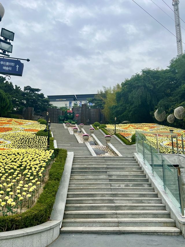 Where Dreams come true 365일 추억을 만드는 곳으로 초대합니다 :)