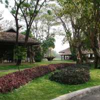 ชมศิลปะวัฒนธรรมล้านนา